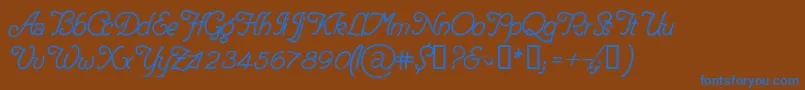 DelicacyPersonalUseOnly Font – Blue Fonts on Brown Background