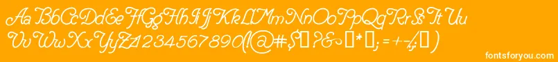 DelicacyPersonalUseOnly Font – White Fonts on Orange Background