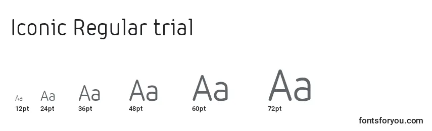 Размеры шрифта Iconic Regular trial