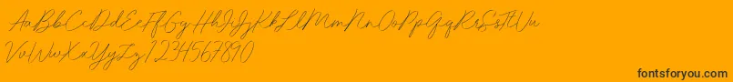 Idana Luisa free-Schriftart – Schwarze Schriften auf orangefarbenem Hintergrund