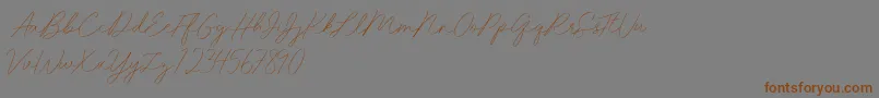 Idana Luisa free-Schriftart – Braune Schriften auf grauem Hintergrund