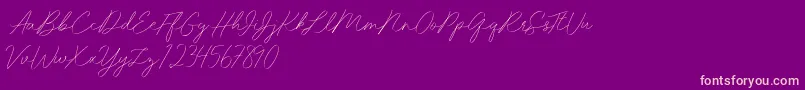 Idana Luisa free-Schriftart – Rosa Schriften auf violettem Hintergrund