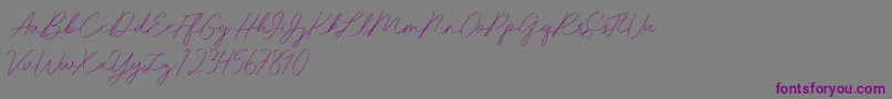 Idana Luisa free-Schriftart – Violette Schriften auf grauem Hintergrund