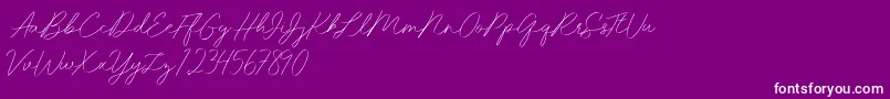 Idana Luisa free-Schriftart – Weiße Schriften auf violettem Hintergrund