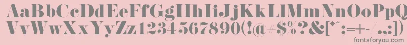 PistilliRoman Font – Gray Fonts on Pink Background
