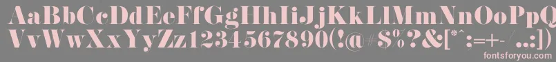 PistilliRoman-Schriftart – Rosa Schriften auf grauem Hintergrund