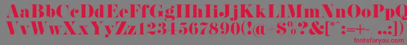 PistilliRoman-Schriftart – Rote Schriften auf grauem Hintergrund