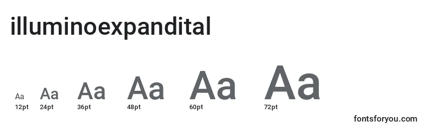 Размеры шрифта Illuminoexpandital (130160)