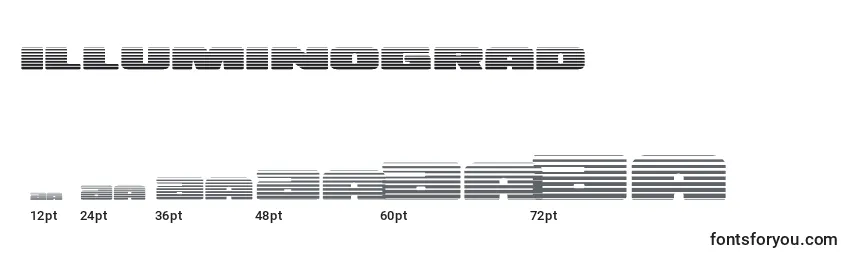 Размеры шрифта Illuminograd (130161)