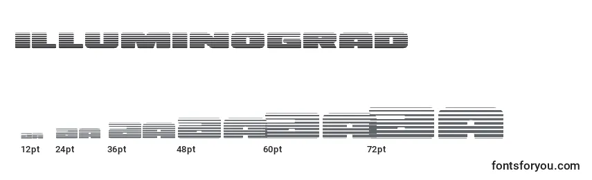 Размеры шрифта Illuminograd (130162)