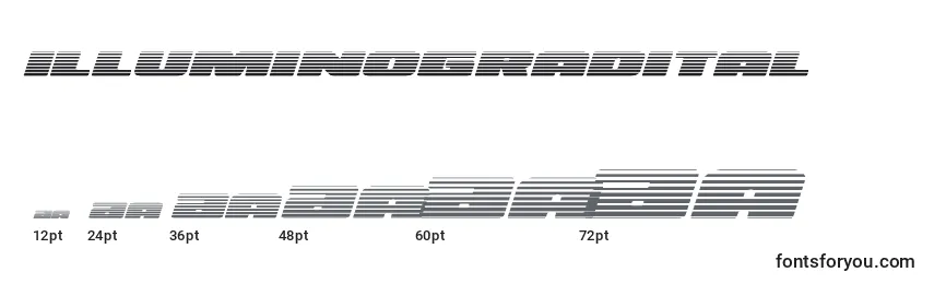 Размеры шрифта Illuminogradital (130163)