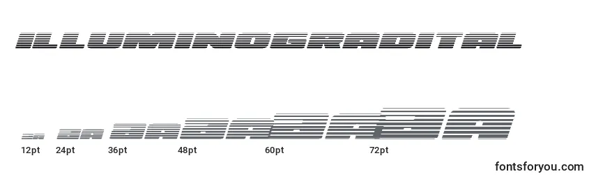 Размеры шрифта Illuminogradital (130164)
