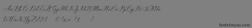 imata Script DEMO-Schriftart – Schwarze Schriften auf grauem Hintergrund