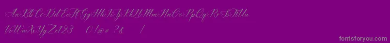 imata Script DEMO Font – Gray Fonts on Purple Background
