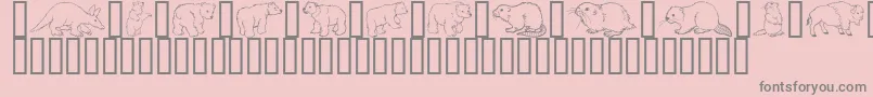 GeWildKingdomAToD Font – Gray Fonts on Pink Background