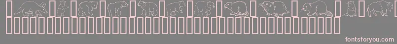 GeWildKingdomAToD Font – Pink Fonts on Gray Background
