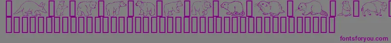 フォントGeWildKingdomAToD – 紫色のフォント、灰色の背景