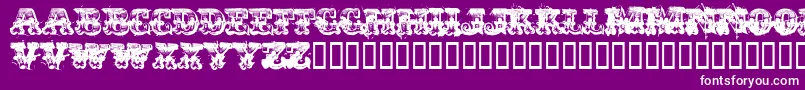 Immoral Font – White Fonts on Purple Background