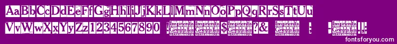 Imprenta Gonzales Font – White Fonts on Purple Background
