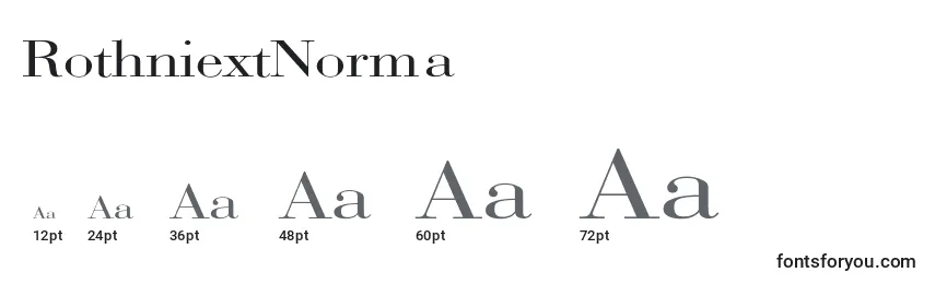 Размеры шрифта RothniextNorma