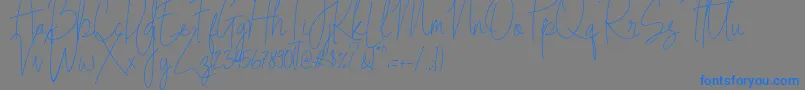Indesign Signature   PERSONAL USE Font – Blue Fonts on Gray Background