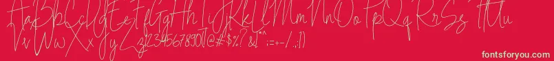 Indesign Signature   PERSONAL USE Font – Green Fonts on Red Background