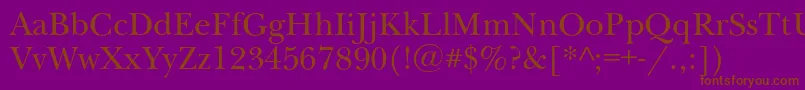 Newbaskervillec Font – Brown Fonts on Purple Background