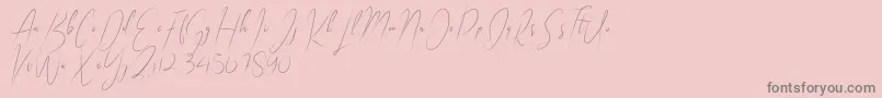 Indonesia Island Font – Gray Fonts on Pink Background