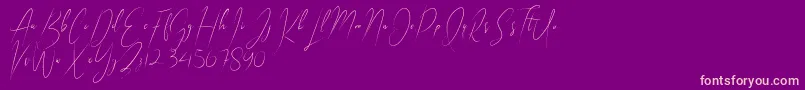 Indonesia Island Font – Pink Fonts on Purple Background