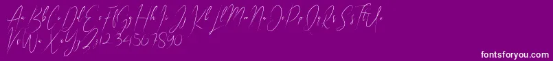 Indonesia Island Font – White Fonts on Purple Background
