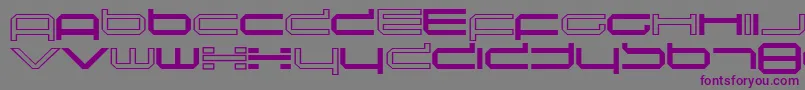 フォントinduction – 紫色のフォント、灰色の背景