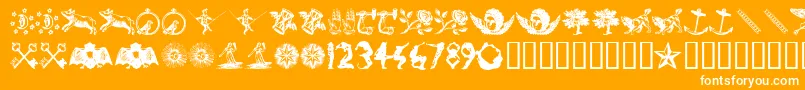 INFID    Font – White Fonts on Orange Background