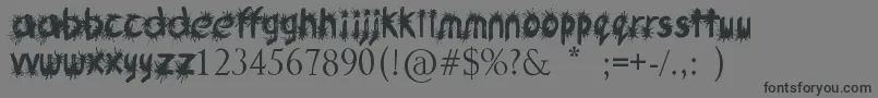 Czcionka Ink Studio – czarne czcionki na szarym tle