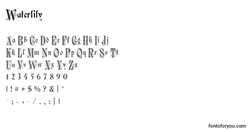A fonte Waterlily – alfabeto, números, caracteres especiais