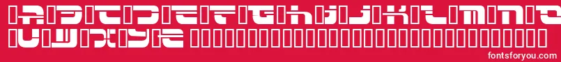 INSERT   Font – White Fonts on Red Background