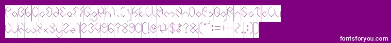 INSIDE THE BOX Inverse Font – White Fonts on Purple Background