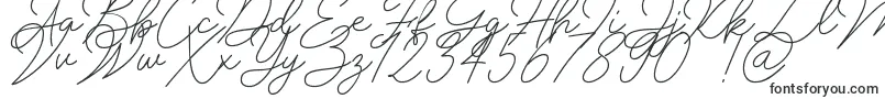 フォントInsta Story Signature – 名刺用のフォント