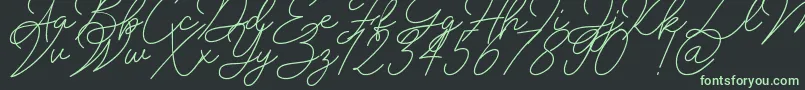 Insta Story Signature-Schriftart – Grüne Schriften auf schwarzem Hintergrund