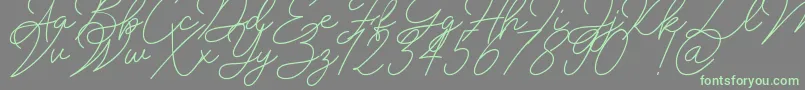 fuente Insta Story Signature – Fuentes Verdes Sobre Fondo Gris