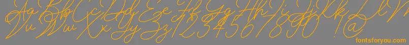 Insta Story Signature-Schriftart – Orangefarbene Schriften auf grauem Hintergrund