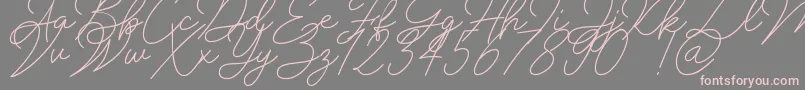 fuente Insta Story Signature – Fuentes Rosadas Sobre Fondo Gris