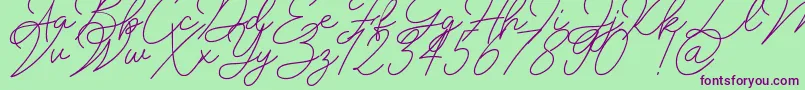 Insta Story Signature-Schriftart – Violette Schriften auf grünem Hintergrund