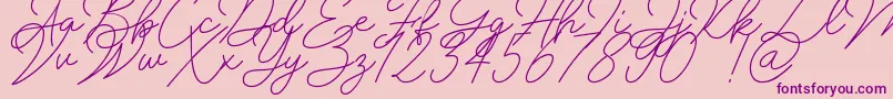 Insta Story Signature-Schriftart – Violette Schriften auf rosa Hintergrund