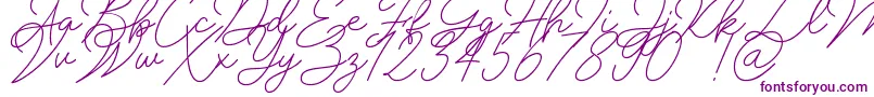 Insta Story Signature-Schriftart – Violette Schriften auf weißem Hintergrund