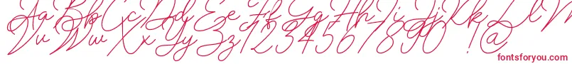 Insta Story Signature-Schriftart – Rote Schriften auf weißem Hintergrund