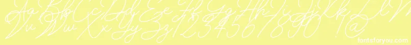 Insta Story Signature-Schriftart – Weiße Schriften auf gelbem Hintergrund