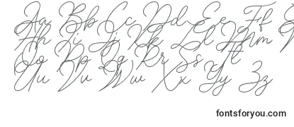 Schriftart Insta Story Signature