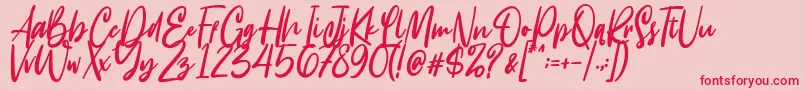 Intensity Font – Red Fonts on Pink Background