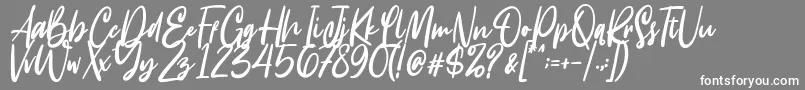 Intensity Font – White Fonts on Gray Background