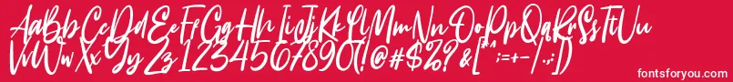 Intensity Font – White Fonts on Red Background